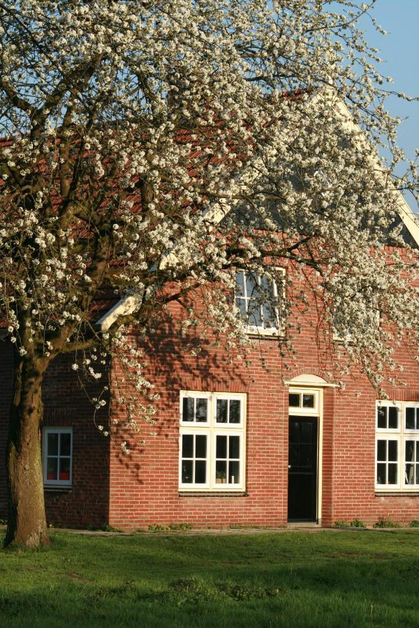 B&B Erve Ten Dam Ambt Delden Exterior photo